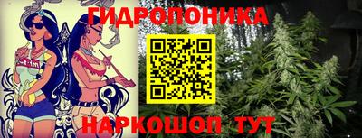 гидропоника Балашиха