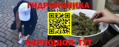 шишки Балахна