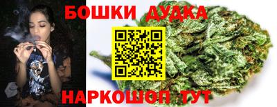 шишки Балахна